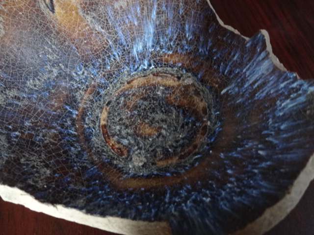 吉州窑兔毫古瓷片