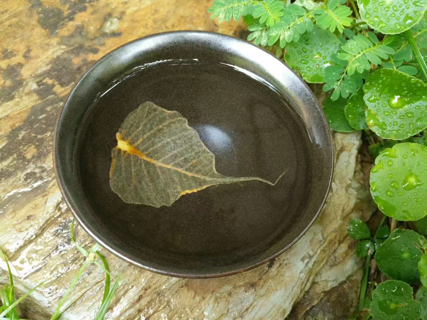 亚光菩提木叶盏